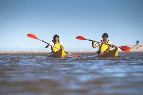 Kangaroo Island Self-Guided Kayaking On The Harriet River - Accommodation VIC 2