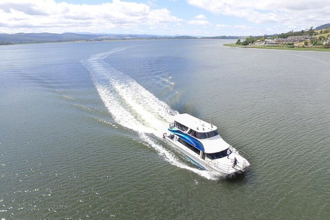 2.50 Hour Afternoon Discovery Cruise Including Cataract Gorge Departing At 3 Pm - Accommodation VIC 0