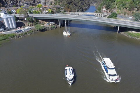 2.50 Hour Afternoon Discovery Cruise Including Cataract Gorge Departing At 3 Pm - Accommodation VIC 3