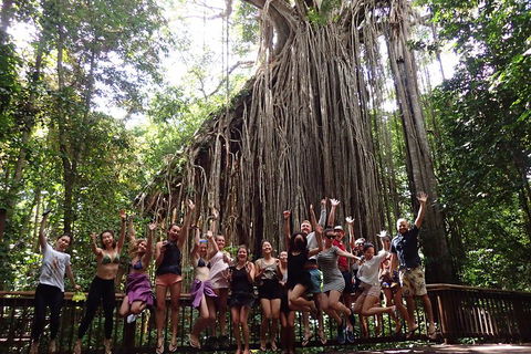 Atherton Tablelands Waterfalls Tour From Cairns - Accommodation VIC 5