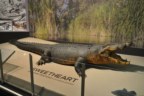 Explore Darwin City Sights Including Key Attractions - Accommodation VIC 2