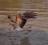 Litchfield and Jumping Crocodiles Full Day Trip from Darwin - Accommodation VIC
