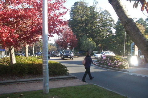 PRIVATE All-Day Blue Mountains Tour With Professional Guide For Up To 4 People - Accommodation VIC 1