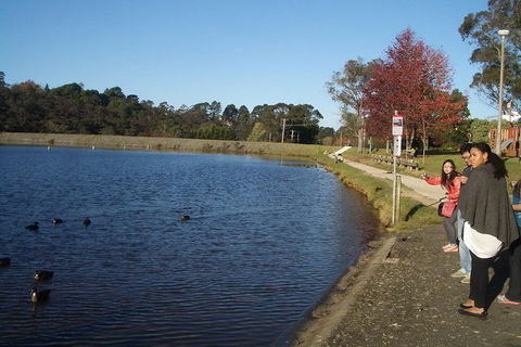 PRIVATE All-Day Blue Mountains Tour With Professional Guide For Up To 4 People - Accommodation VIC 2