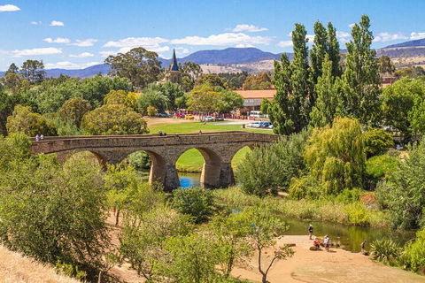 Wineglass Bay & Freycinet NP Full Day Tour From Hobart Via Richmond Village - Accommodation VIC 4