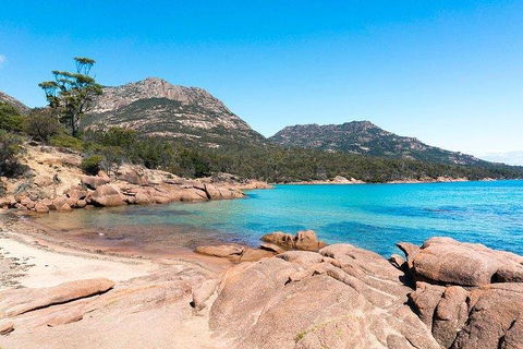 Wineglass Bay & Freycinet NP Full Day Tour From Hobart Via Richmond Village - Accommodation VIC 5