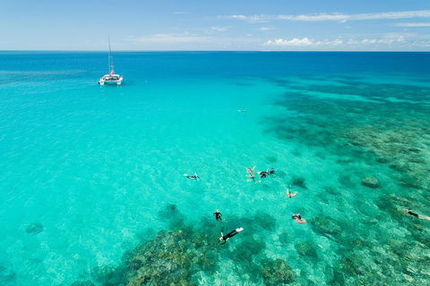 Full-Day Great Barrier Reef Sailing Trip - Accommodation VIC 2