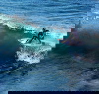 Great Ocean Road Highlights Tour - 2 Days 1 Night - Accommodation VIC