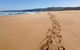 Private Great Ocean Road Full Day Tour - 1 Day Tour - thumb 5