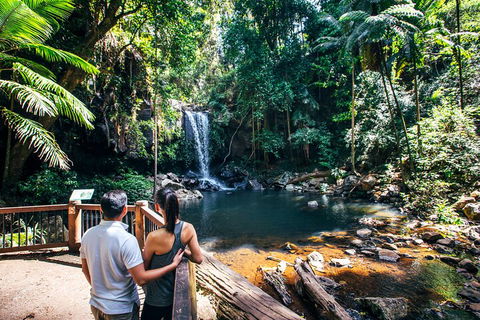 Aquaduck & Your Choice Of Gold Coast Rainforest Tour - Accommodation VIC 0