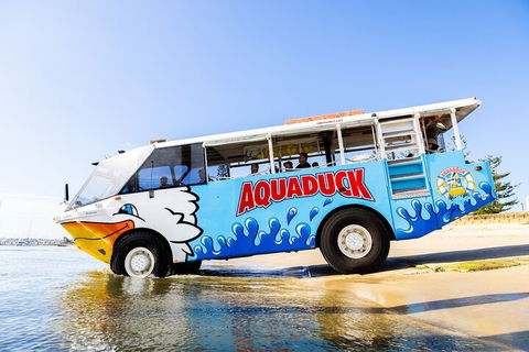 Aquaduck & Your Choice Of Gold Coast Rainforest Tour - Accommodation VIC 3