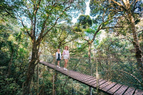 Aquaduck & Your Choice Of Gold Coast Rainforest Tour - Accommodation VIC 4