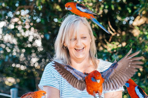 Aquaduck & Your Choice Of Gold Coast Rainforest Tour - Accommodation VIC 5