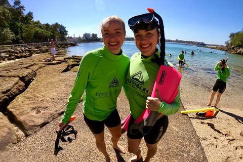 Manly Snorkel Trip And Nature Walk With Local Guide - Accommodation VIC 1