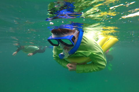 Manly Snorkel Trip And Nature Walk With Local Guide - Accommodation VIC 5