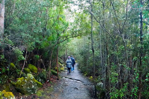 Kunanyi/Mt Wellington Tour & Hobart Hop-On Hop-Off Bus - Accommodation VIC 1