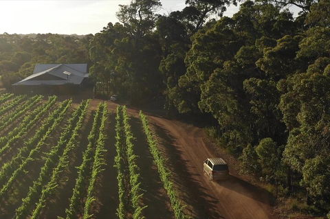 The All About Margaret River Tour: Wine, Coffee, Lunch And Forest - Accommodation VIC 1