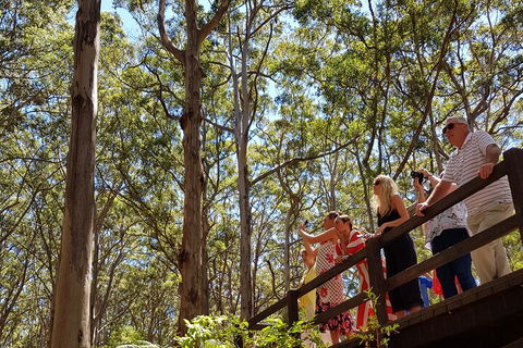 The All About Margaret River Tour: Wine, Coffee, Lunch And Forest - Accommodation VIC 3