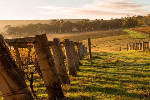The All About Margaret River Tour: Wine, Coffee, Lunch And Forest - Accommodation VIC 5