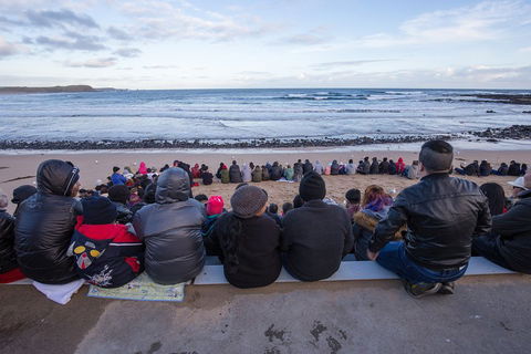 Full-Day Bus Tour Phillip Island Wildlife And Brighton Beach - Accommodation VIC 1