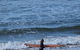 Full-Day Bus Tour Phillip Island Wildlife And Brighton Beach - thumb 3