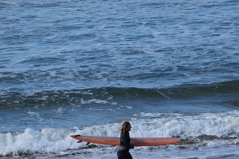 Full-Day Bus Tour Phillip Island Wildlife And Brighton Beach - Accommodation VIC 3