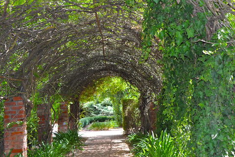 Barossa Valley Cellar Doors Luxury Wine Tour - Accommodation VIC 3