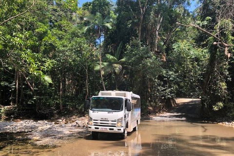 Cairns To Cooktown 4WD Tour - Accommodation VIC 5
