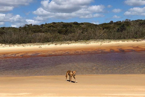 Pippies 3 Days 2 Nights Fraser Island Tour - Accommodation VIC 2