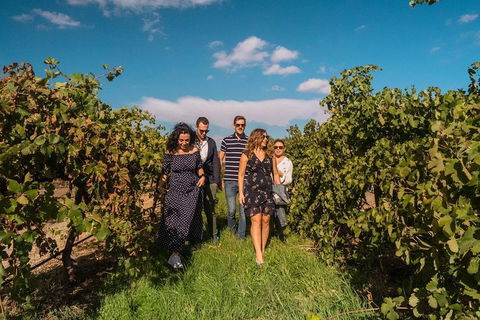 Barossa Valley Private Tour (from 2 To 11 People) - Accommodation VIC 0