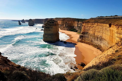Helicopter Flight + Fine Dining Private Luxury Great Ocean Road Tour - Accommodation VIC 4