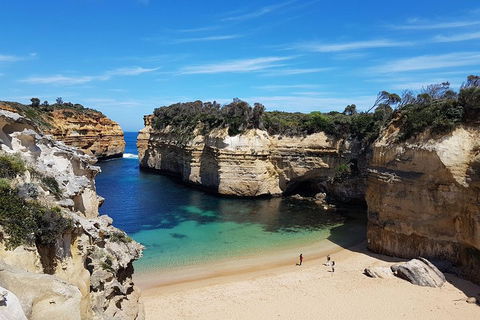Great Ocean Road Adventure - Private Tour - Reverse - Accommodation VIC 0