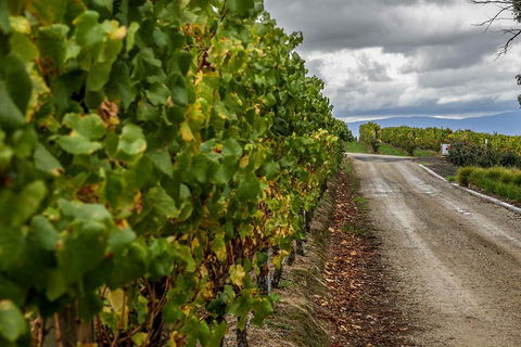 Yarra Valley Public Winery Tours - Accommodation VIC 2