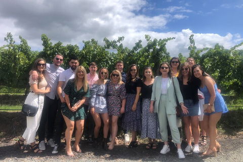 Yarra Valley Public Winery Tours - Accommodation VIC 3