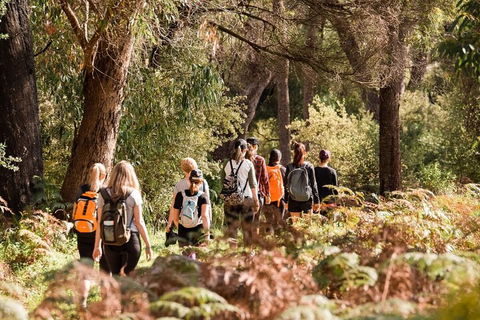 Half-Day Yanchep Ghost House Wilderness Guided Hike Tour - Accommodation VIC 0