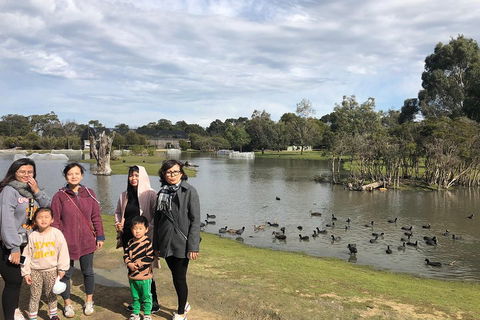 Phillip Island Penguins Private Tour - Accommodation VIC 1
