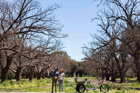 Adelaide 90-Minute Pedicab Tour: Scenic Green & River Experience - Accommodation VIC 1