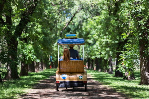Adelaide 90-Minute Pedicab Tour: Scenic Green & River Experience - Accommodation VIC 2