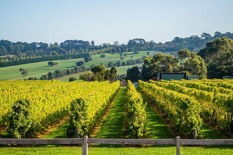 Private Tours From Melbourne - Accommodation VIC 1