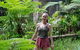 Full-Day Guided Hinterland Adventure Tour In Queensland - thumb 0