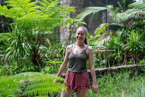 Full-Day Guided Hinterland Adventure Tour In Queensland - Accommodation VIC 0