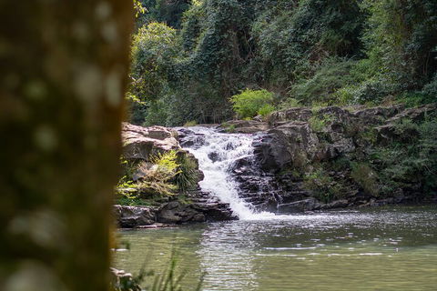 Full-Day Guided Hinterland Adventure Tour In Queensland - Accommodation VIC 1
