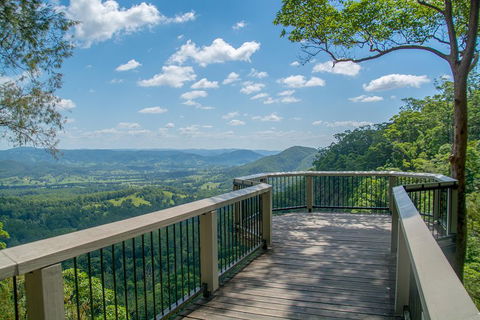 Full-Day Guided Hinterland Adventure Tour In Queensland - Accommodation VIC 2