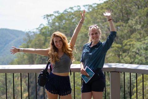 Full-Day Guided Hinterland Adventure Tour In Queensland - Accommodation VIC 3