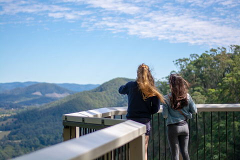 Full-Day Guided Hinterland Adventure Tour In Queensland - Accommodation VIC 5