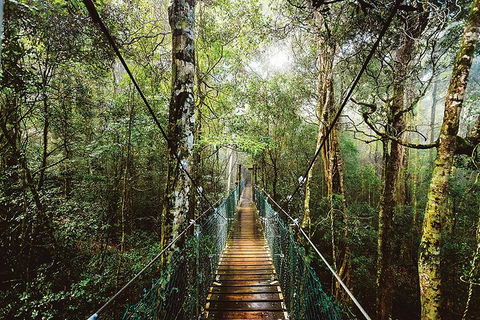 O'Reilly's & Lamington National Park From Gold Coast - Accommodation VIC 0
