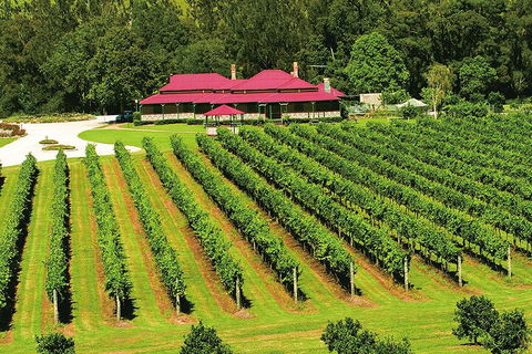 O'Reilly's & Lamington National Park From Gold Coast - Accommodation VIC 2