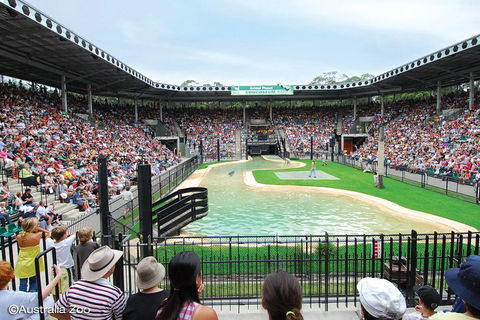 Croc Express To Australia Zoo From Brisbane - Accommodation VIC 2