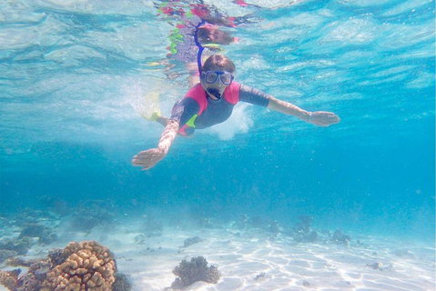 Lagoon Explorer - Ningaloo Reef Full-Day Kayaking And Snorkeling Adventure - Accommodation VIC 5