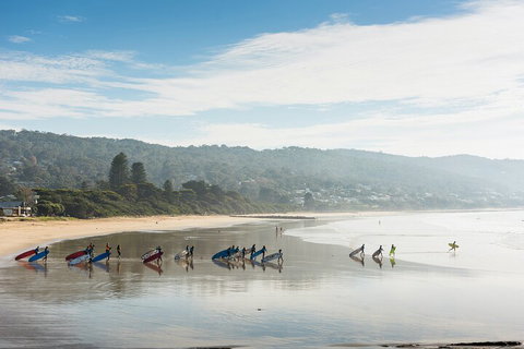 LGBT+ Friendly 12-Hour Great Ocean Road Private Tour - Accommodation VIC 2